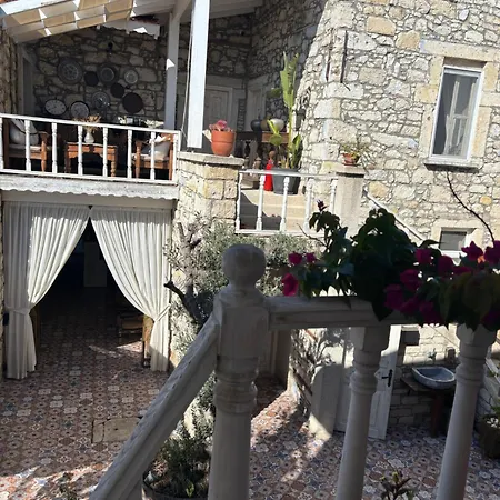 Morisiavlualacati Hotel